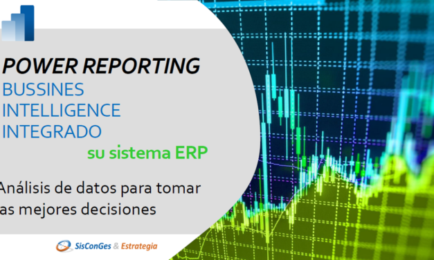 POWER REPORTING PARA SU ERP